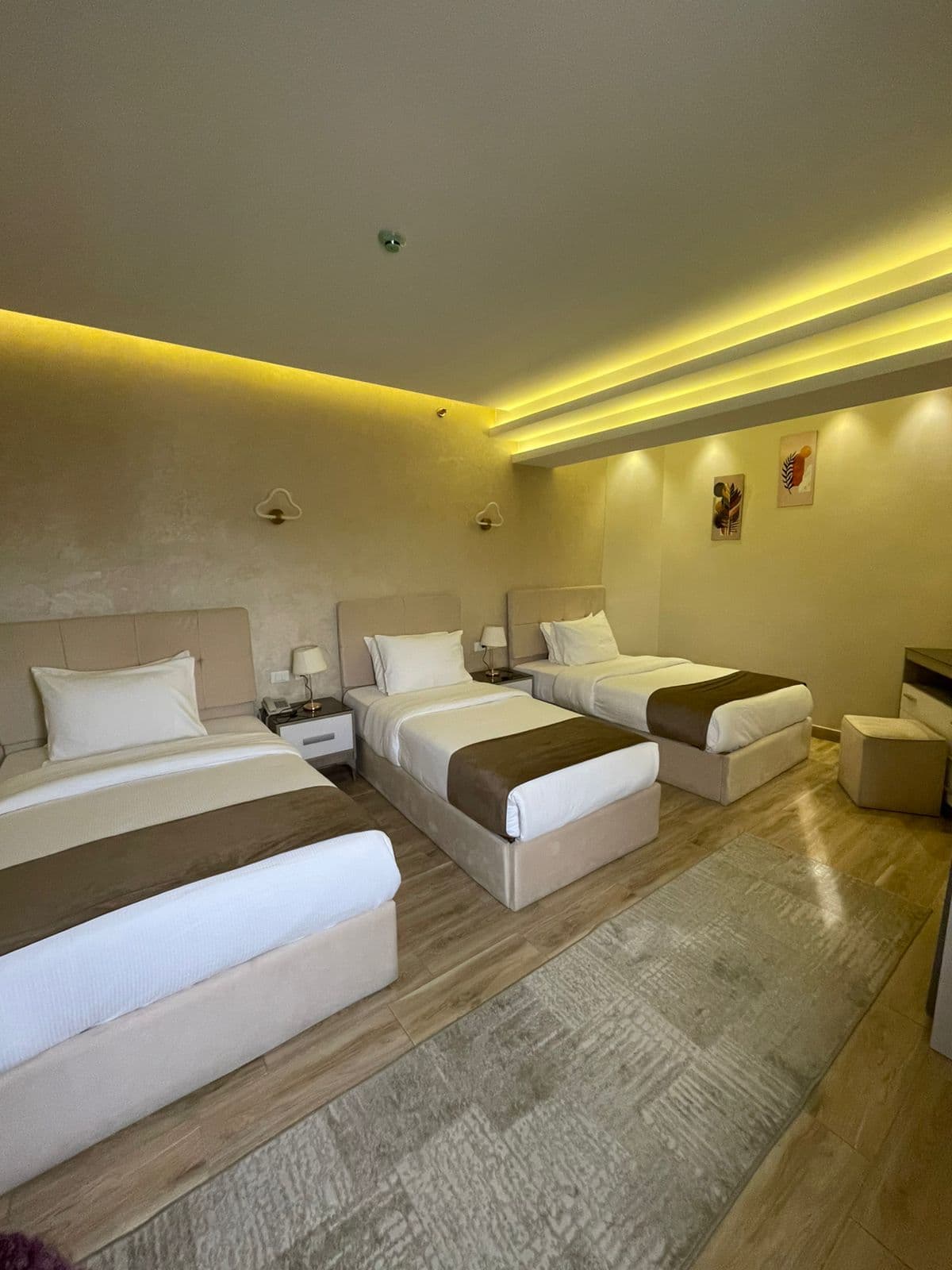 Room 511 Triple Side View preview 4